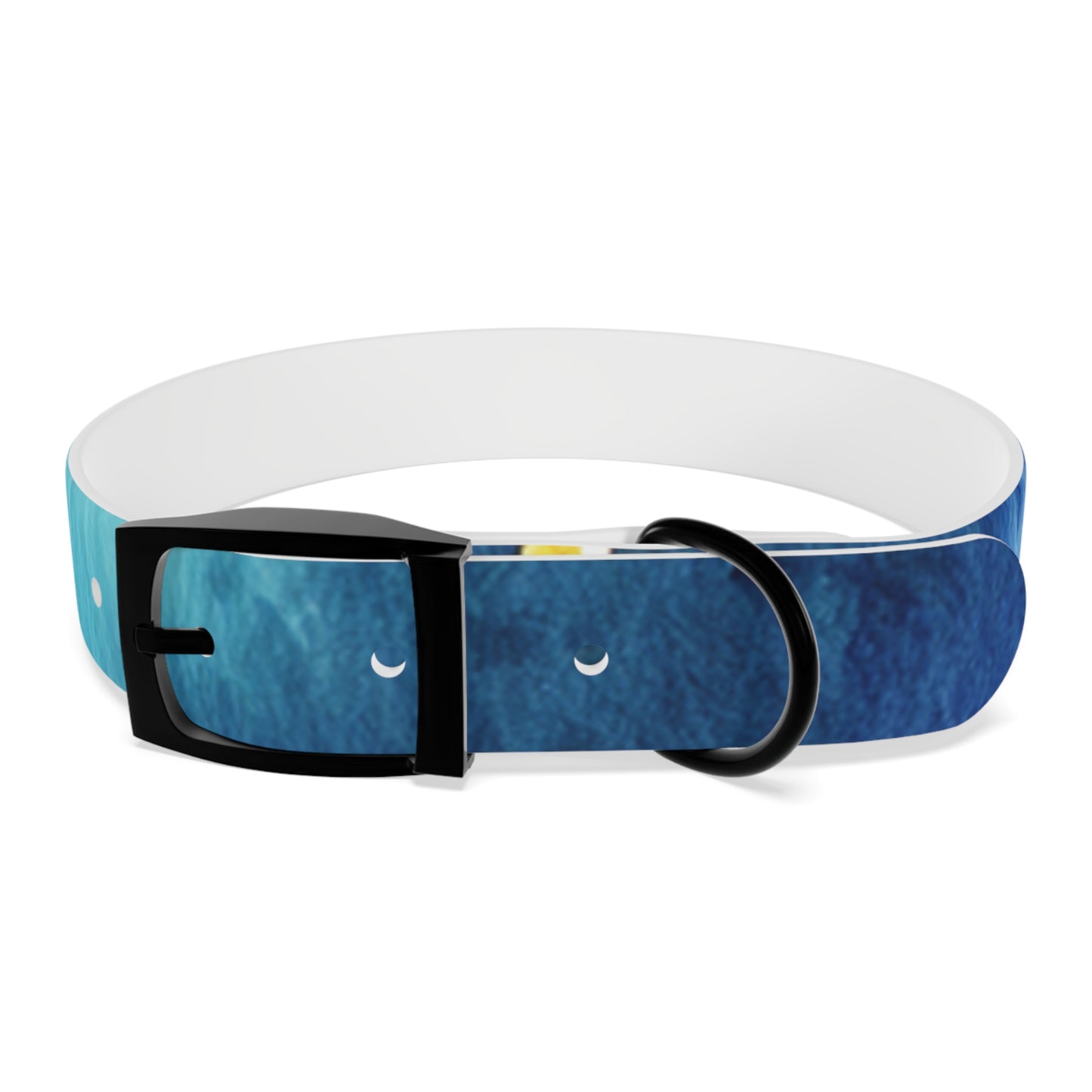 Night Watercolor Dog Collar