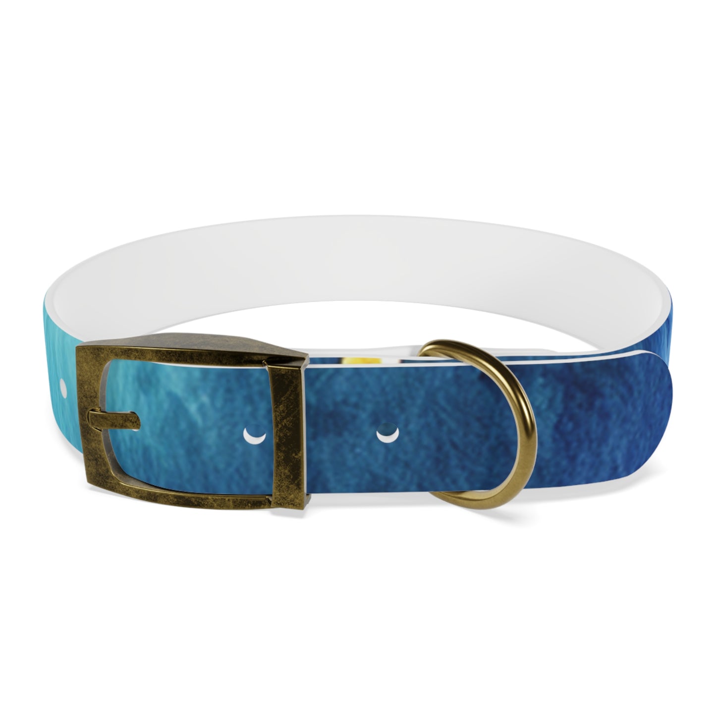 Night Watercolor Dog Collar