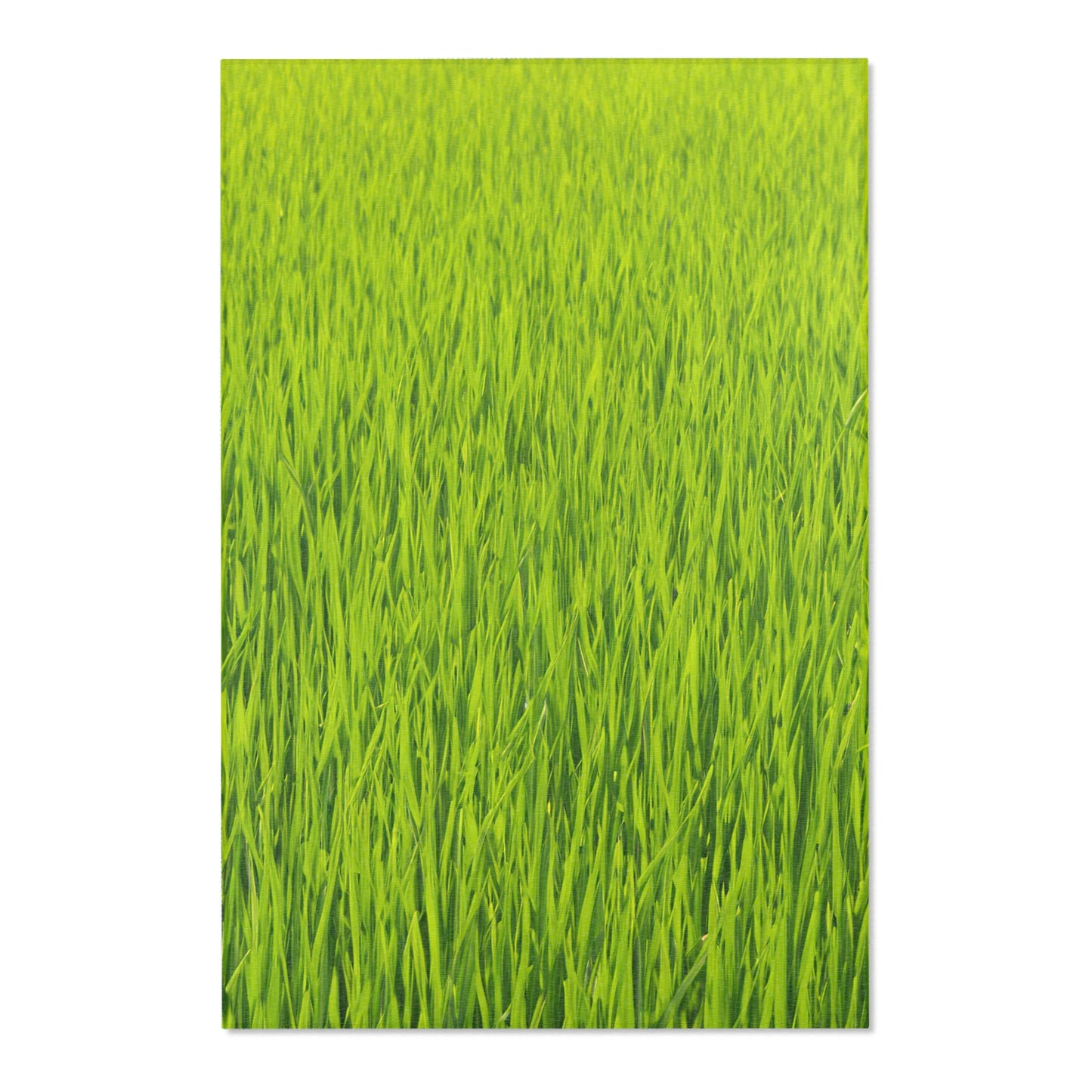 Grass Area Rugs