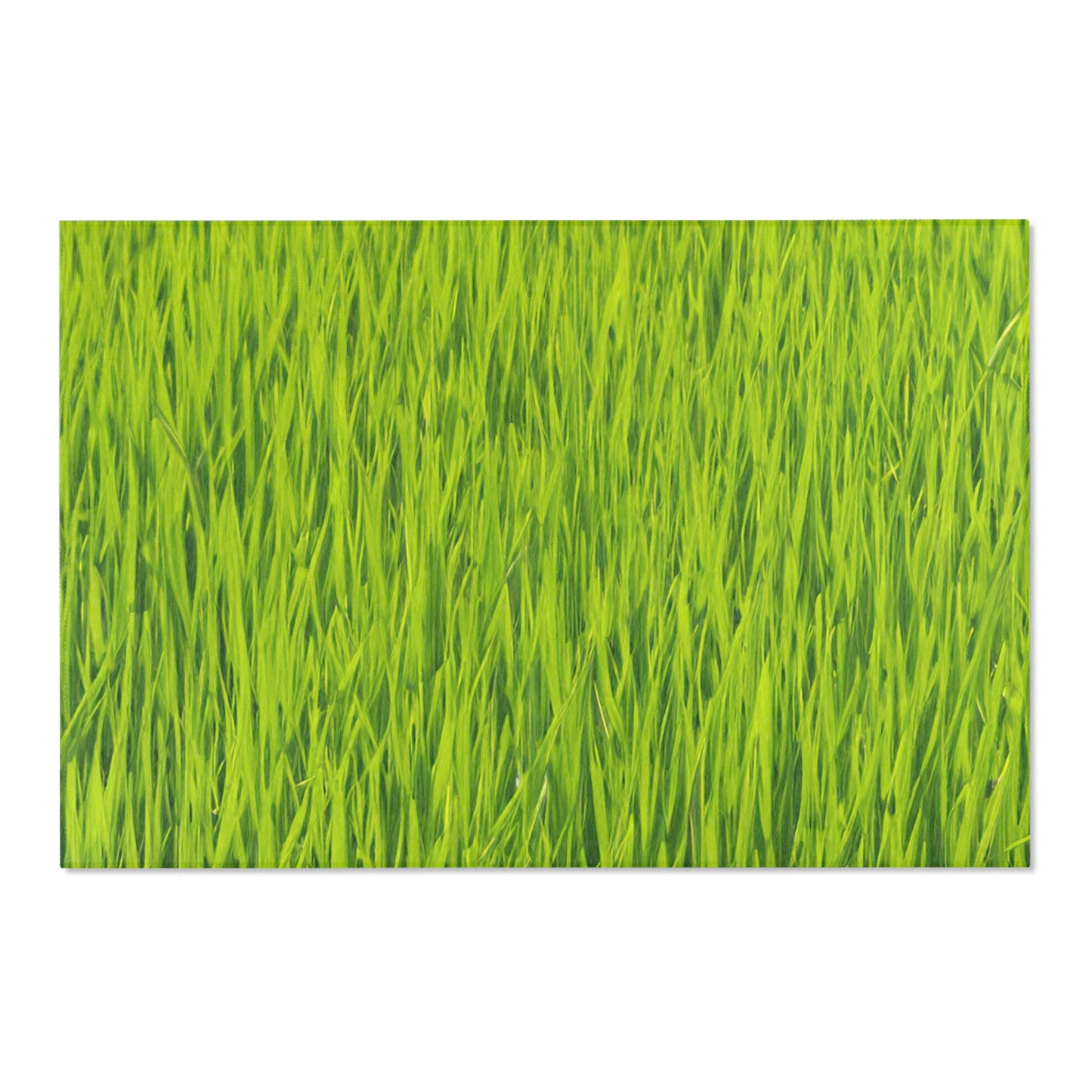 Grass Area Rugs