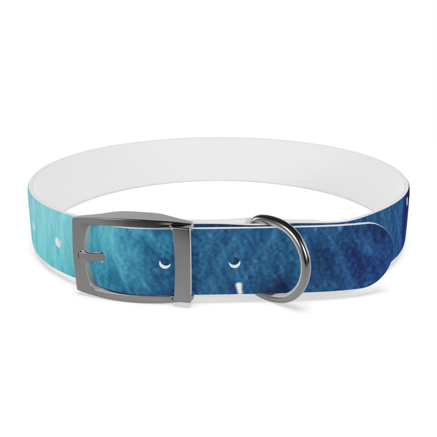 Night Watercolor Dog Collar