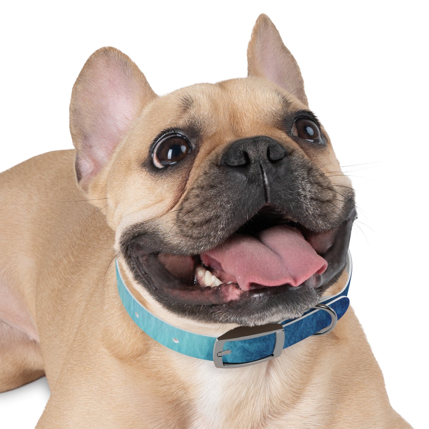 Night Watercolor Dog Collar