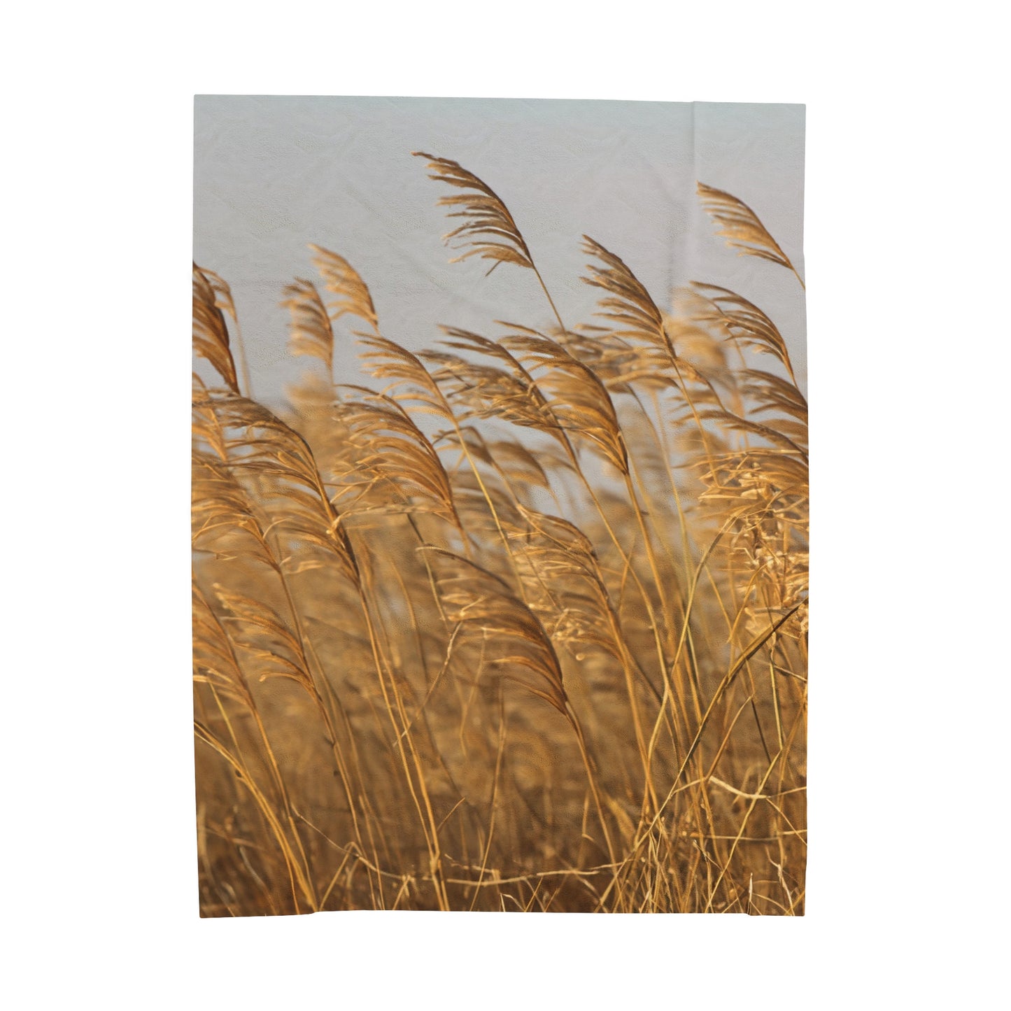 Golden Grass Velveteen Plush Blanket