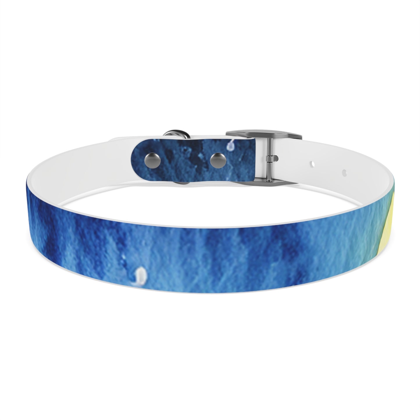 Night Watercolor Dog Collar