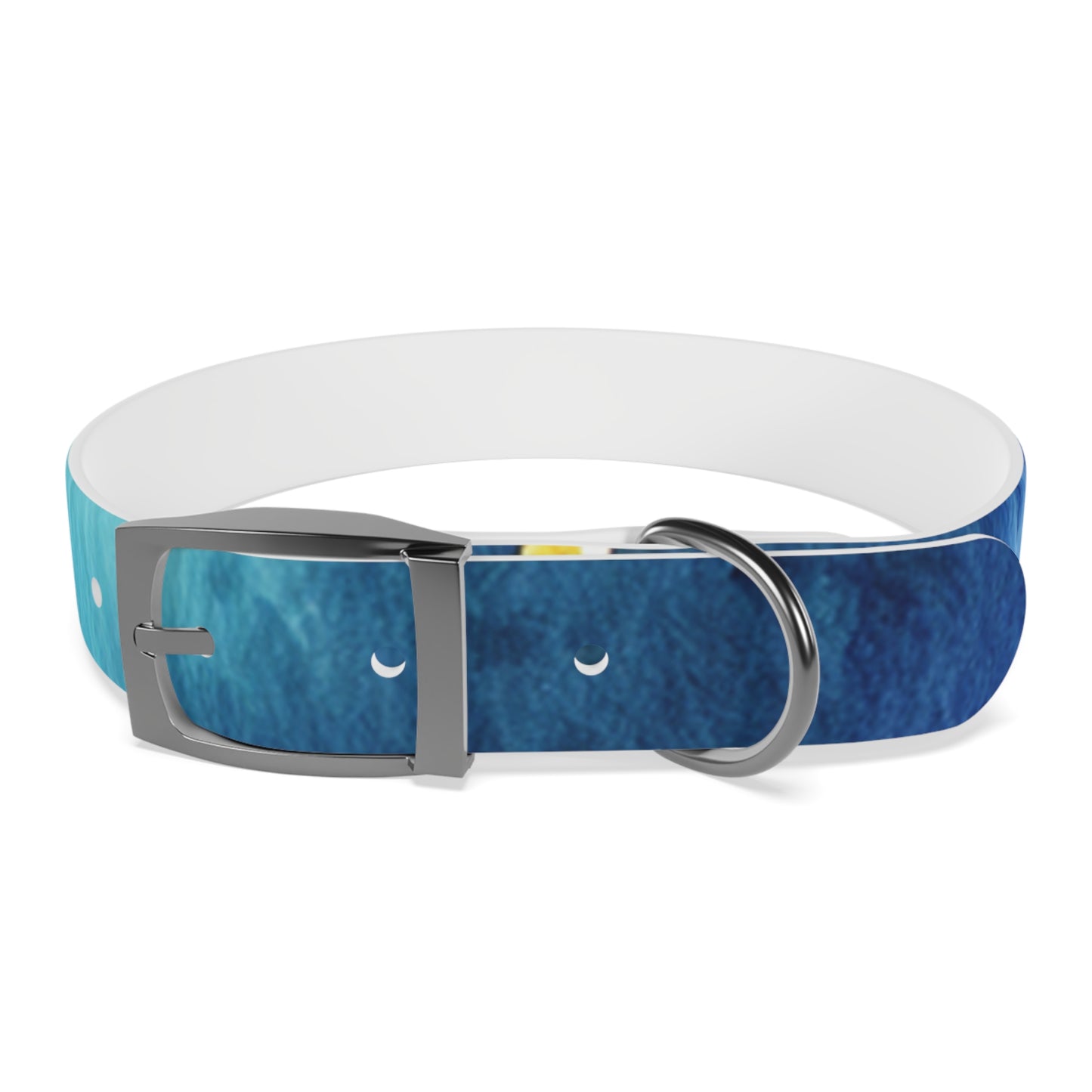 Night Watercolor Dog Collar