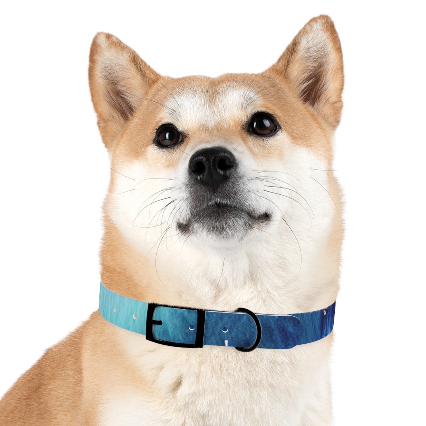 Night Watercolor Dog Collar