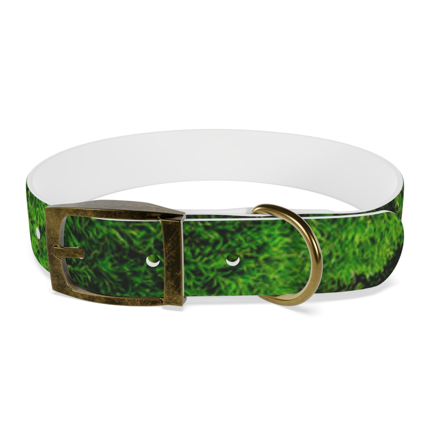Moss Dog Collar