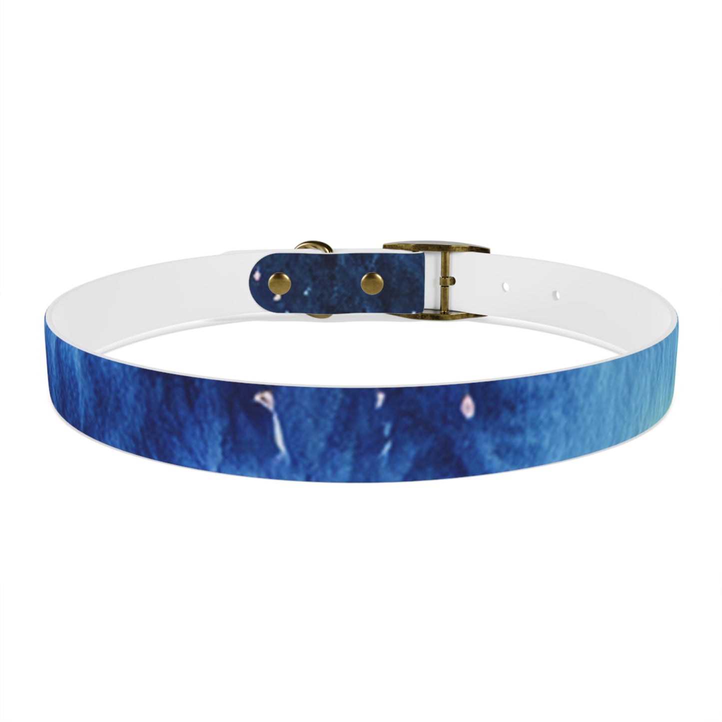 Night Watercolor Dog Collar
