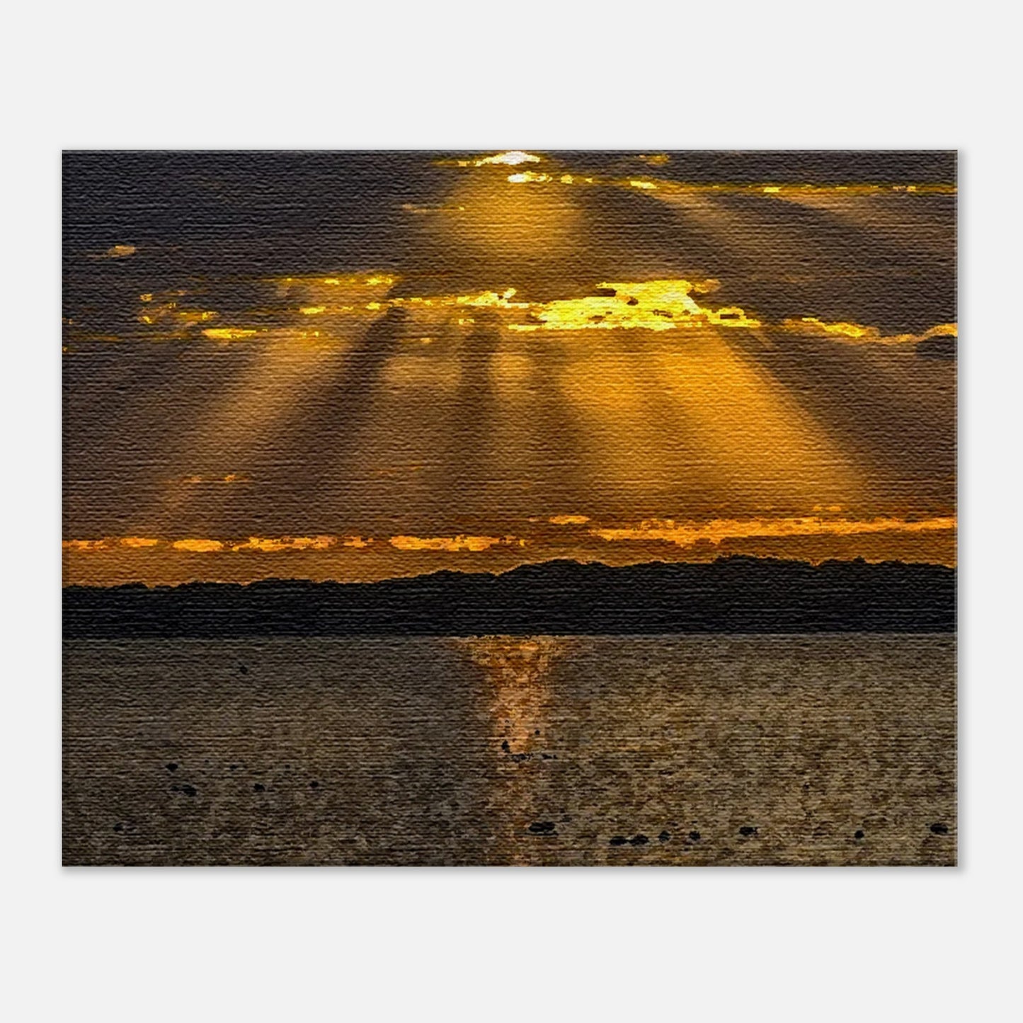 d788b3f7-9f11-4372-83e0-adb99a0ea1ca