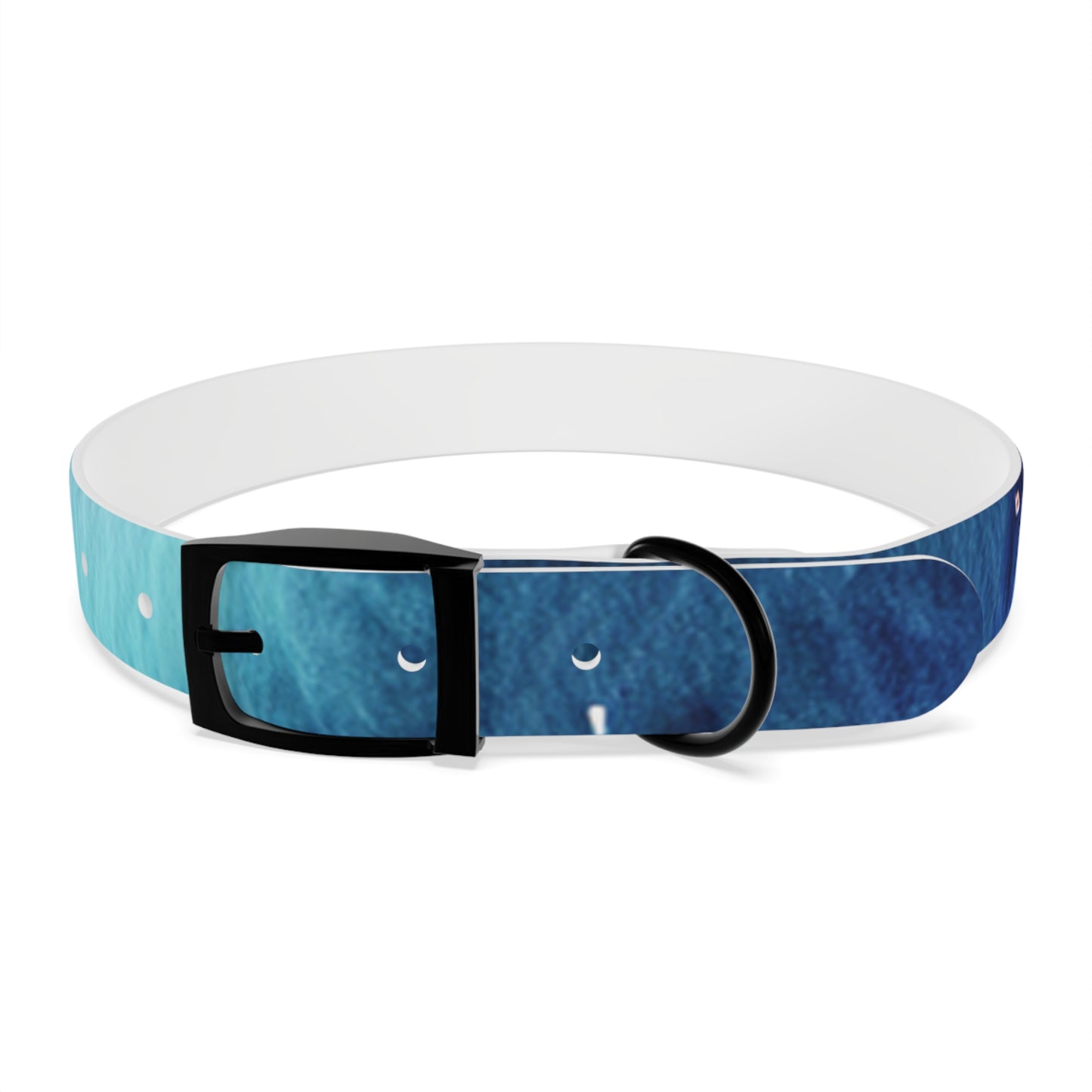 Night Watercolor Dog Collar