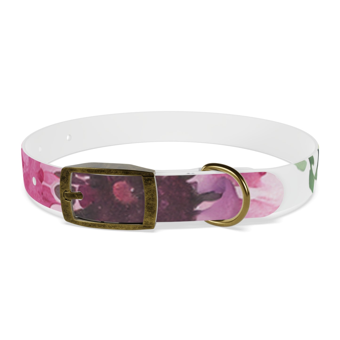 Floral Watercolor Dog Collar