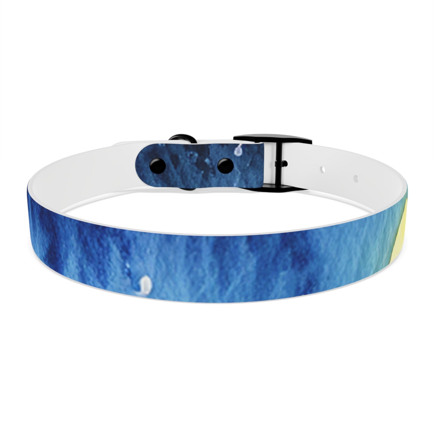 Night Watercolor Dog Collar