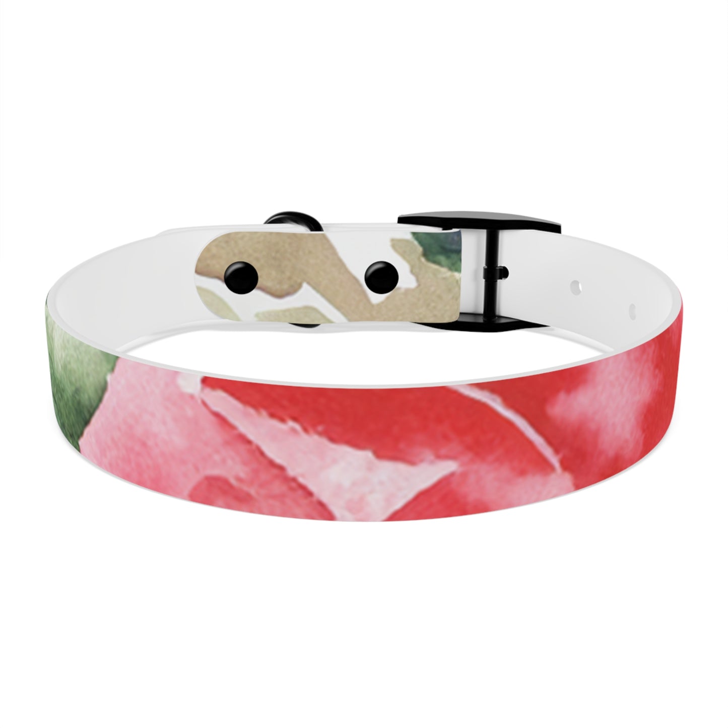 Floral Watercolor Dog Collar