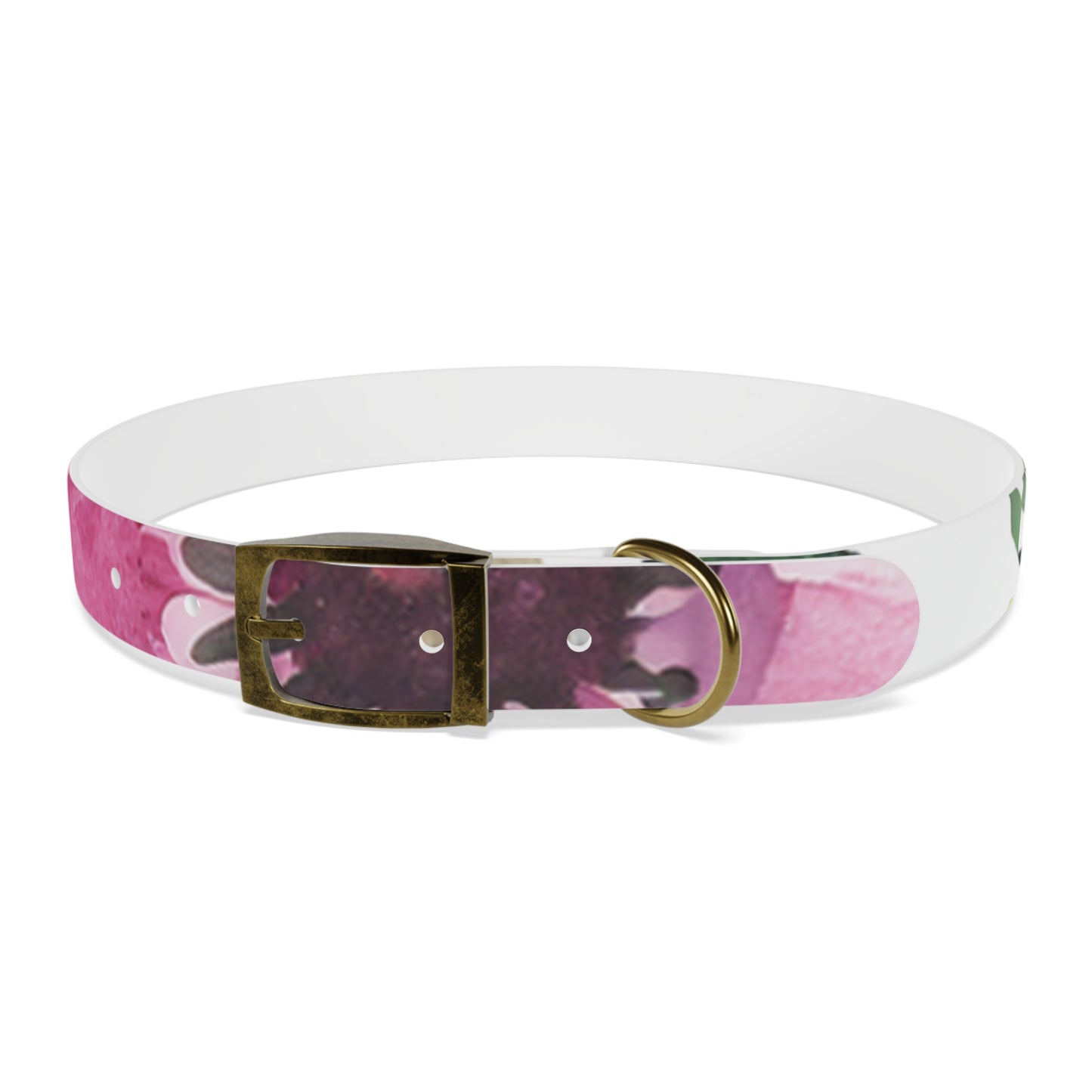 Floral Watercolor Dog Collar