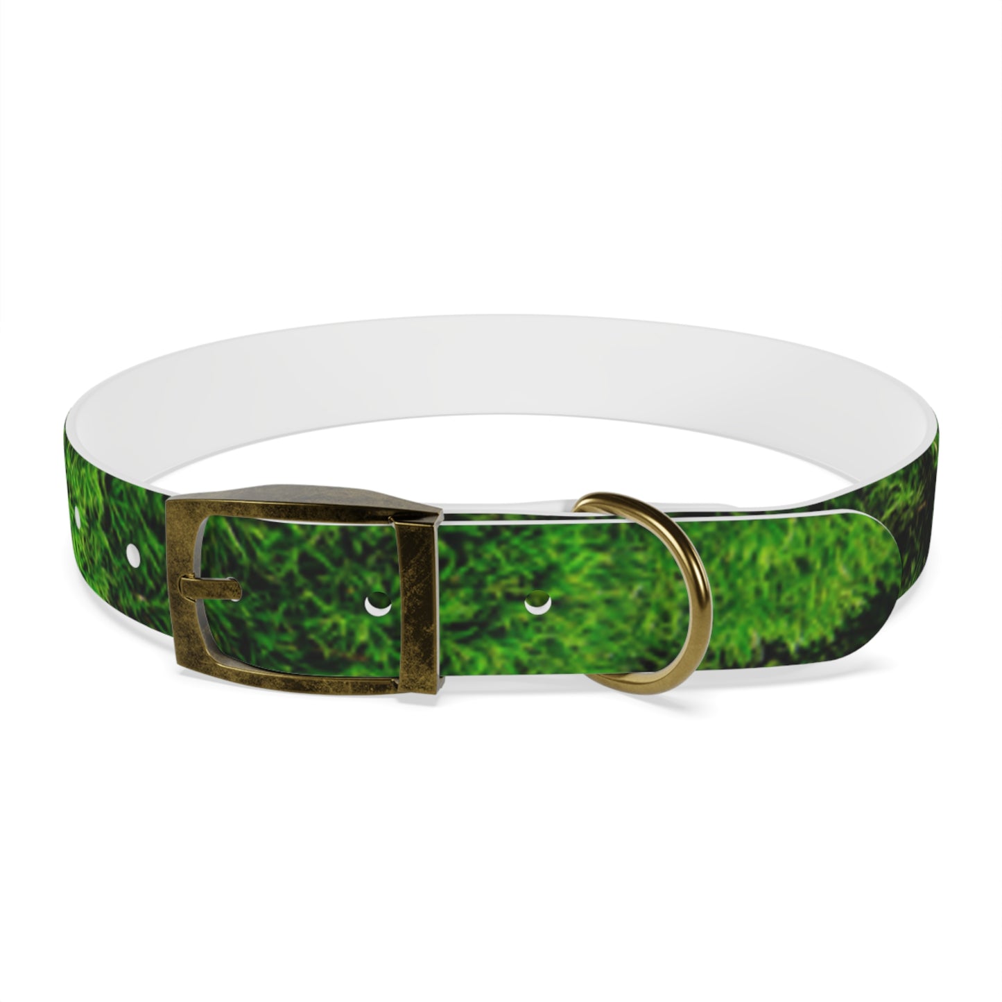 Moss Dog Collar