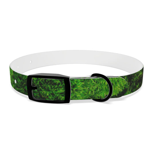 Moss Dog Collar