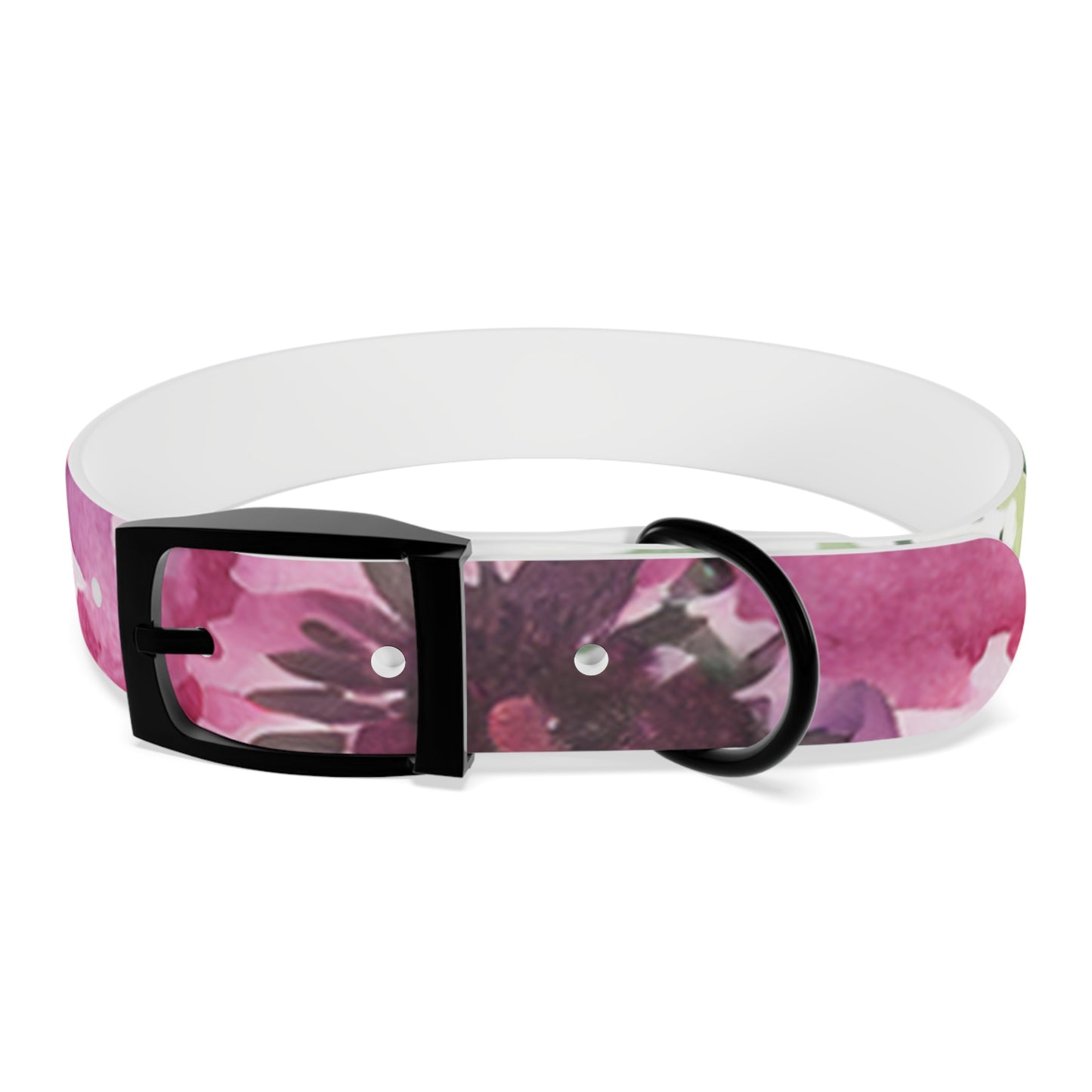 Floral Watercolor Dog Collar