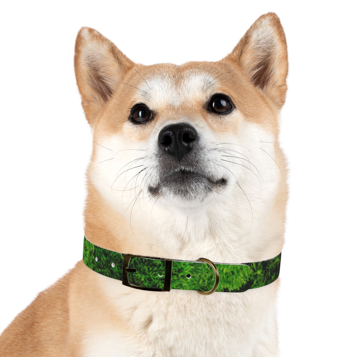 Moss Dog Collar