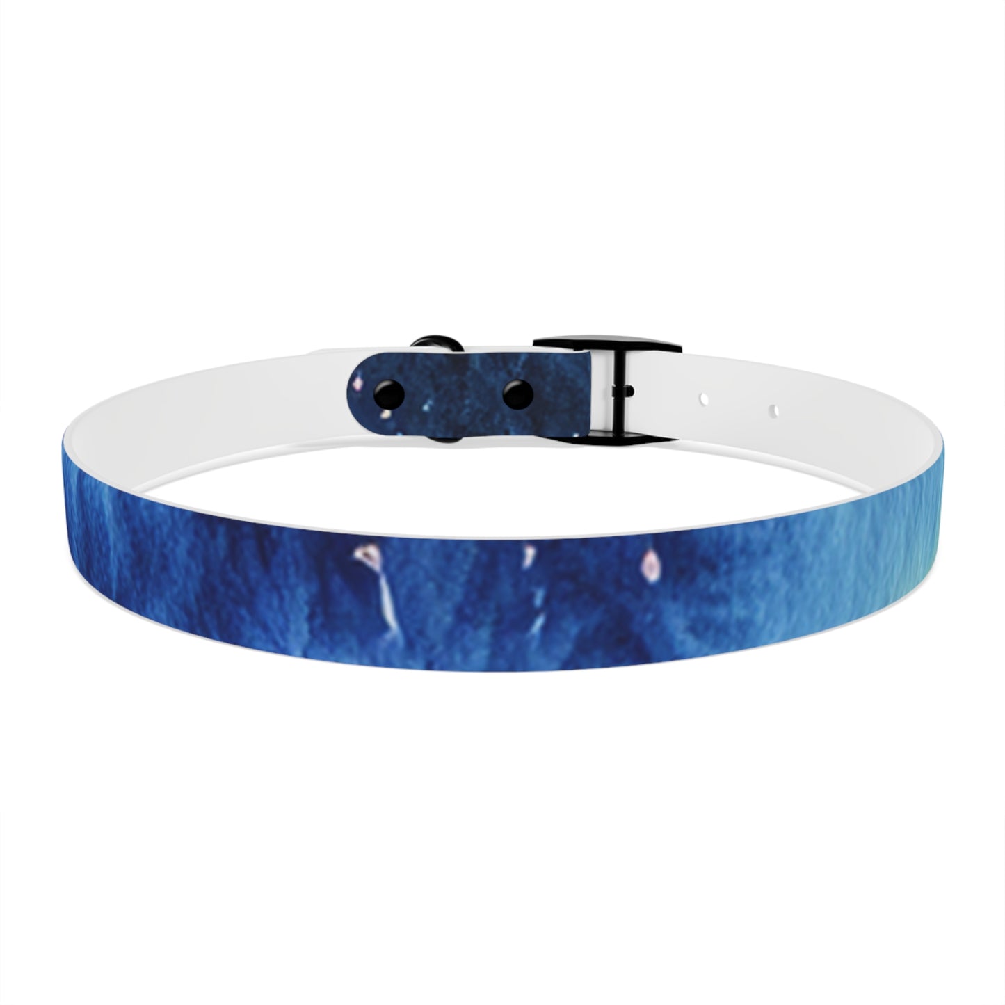 Night Watercolor Dog Collar