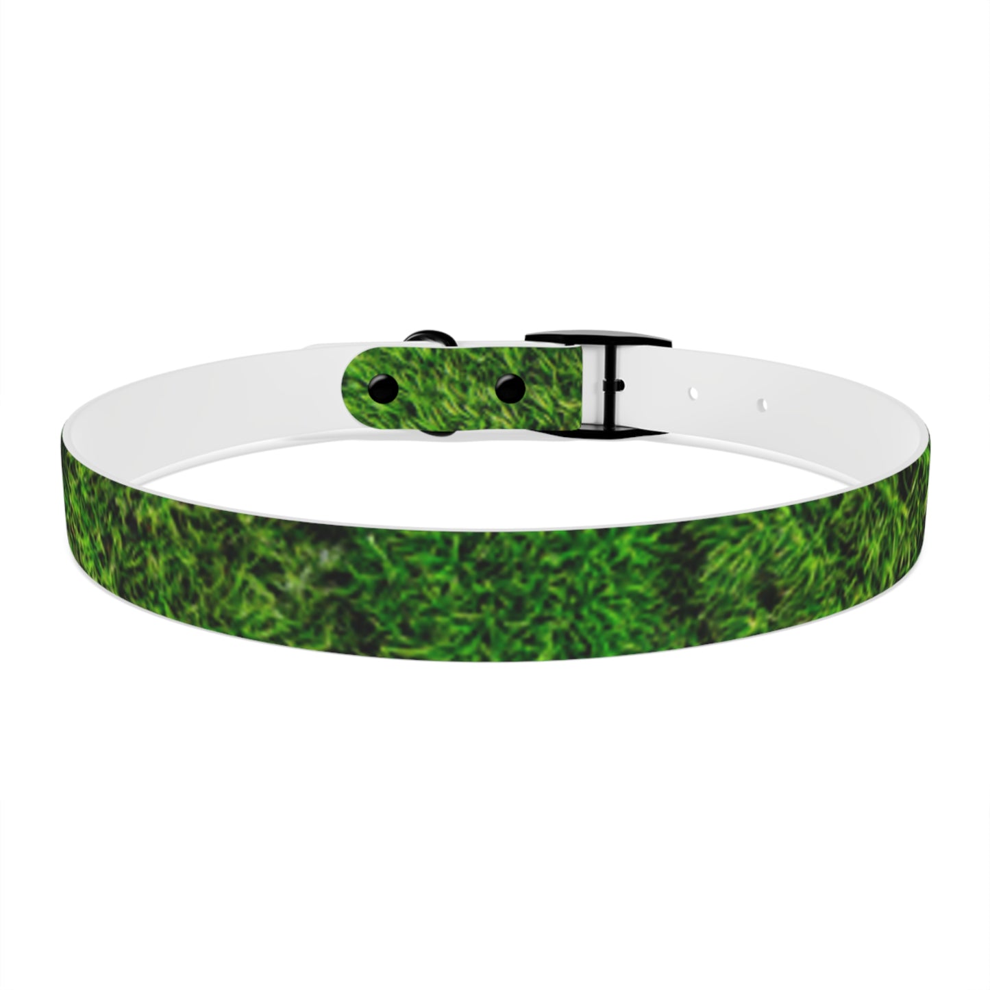 Moss Dog Collar