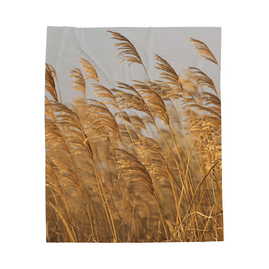 Golden Grass Velveteen Plush Blanket