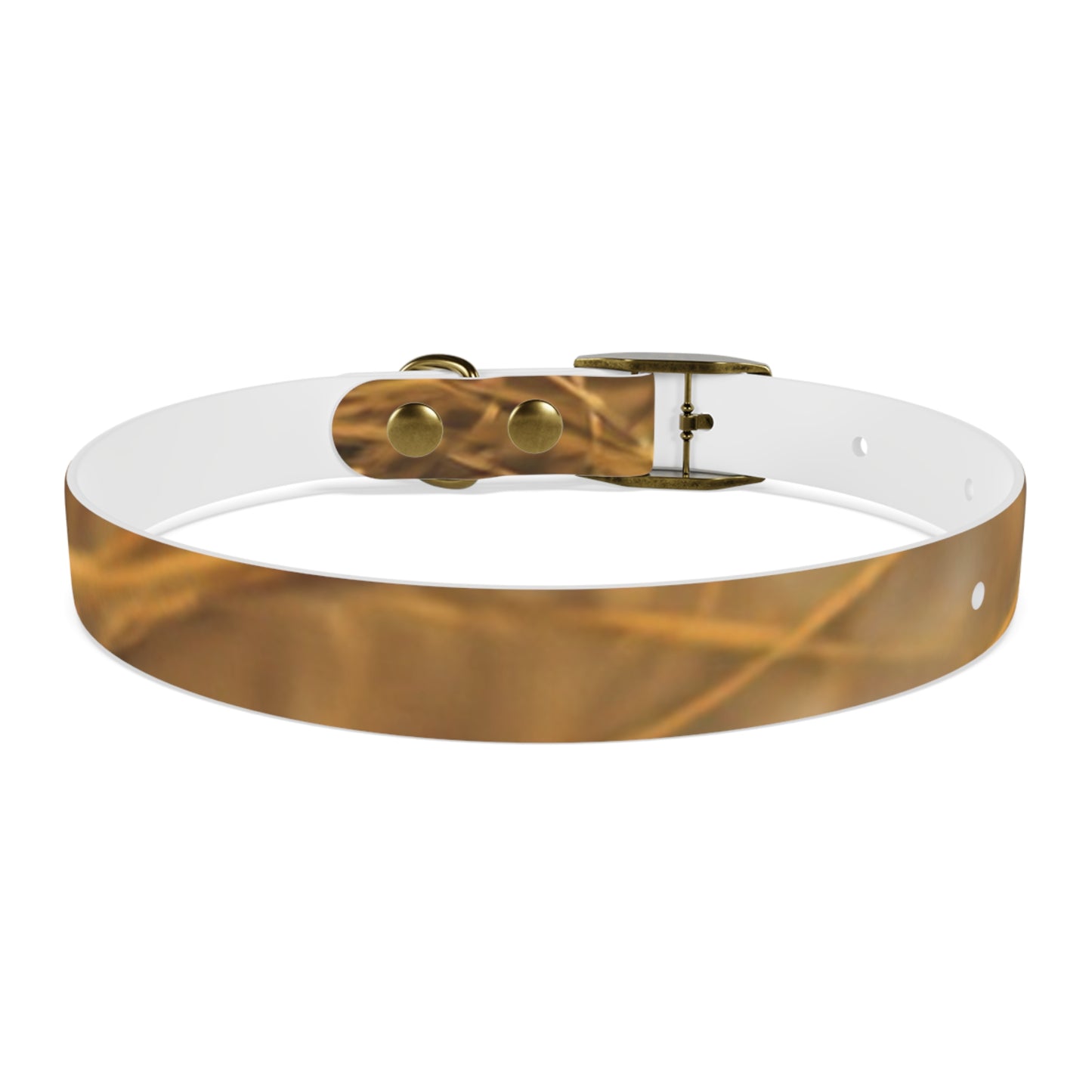 Golden Grass Dog Collar