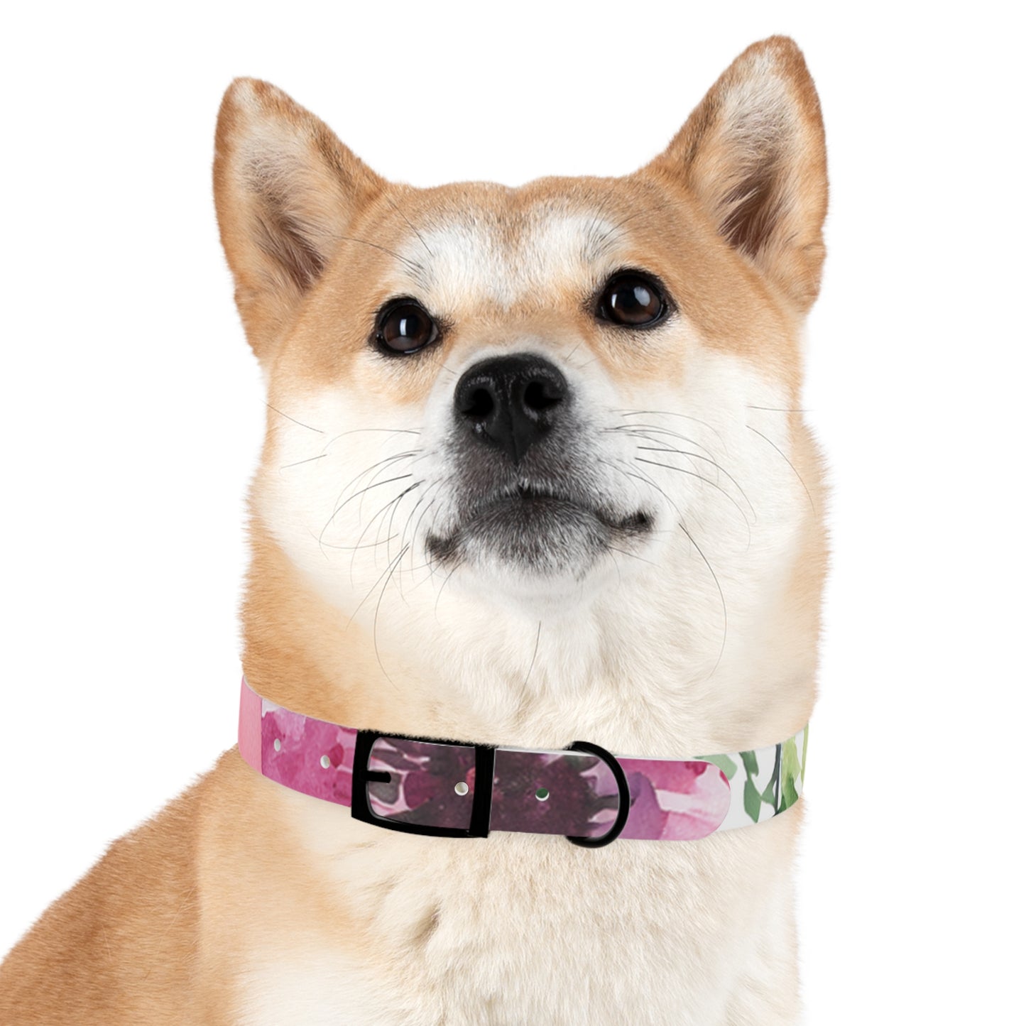 Floral Watercolor Dog Collar