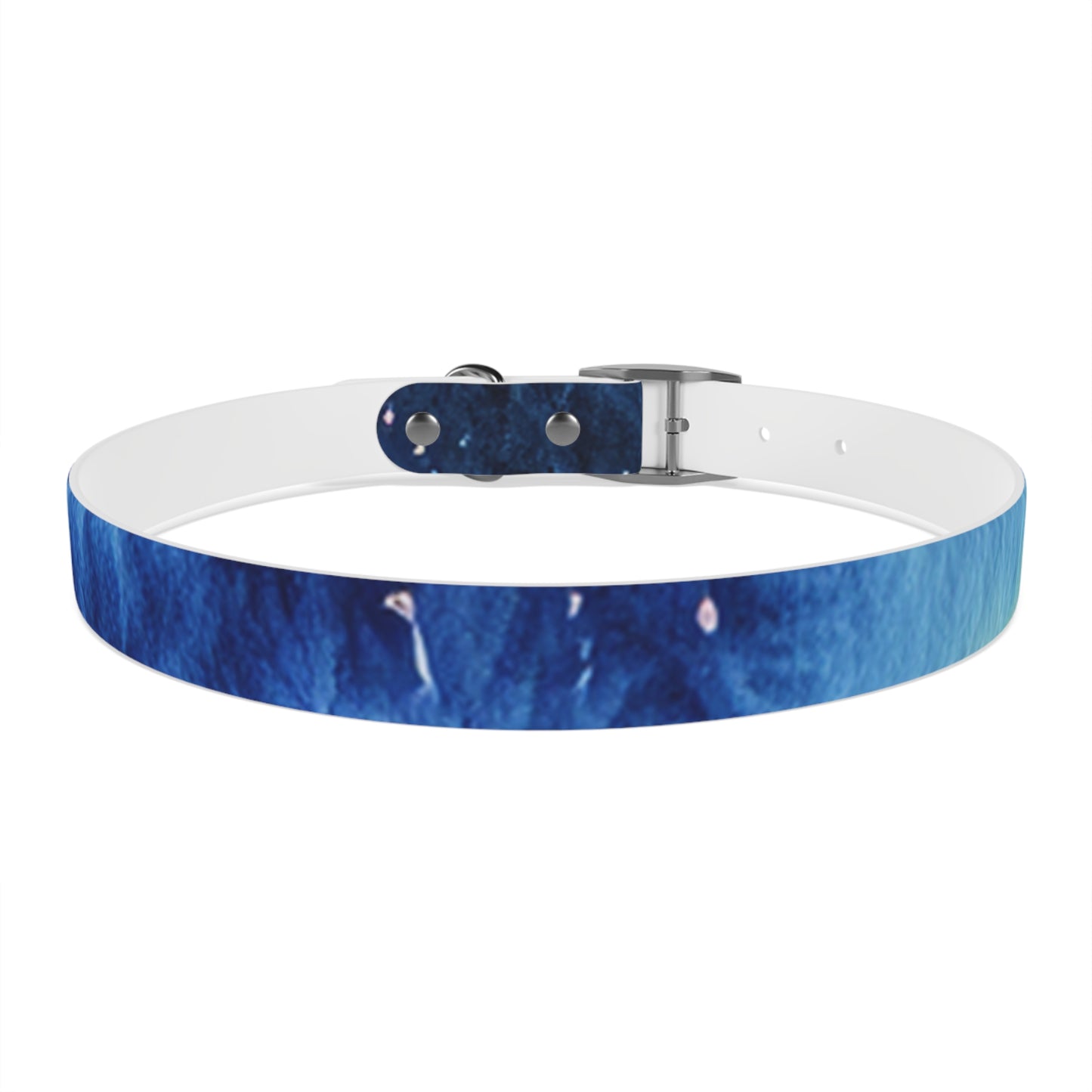 Night Watercolor Dog Collar