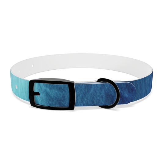 Night Watercolor Dog Collar