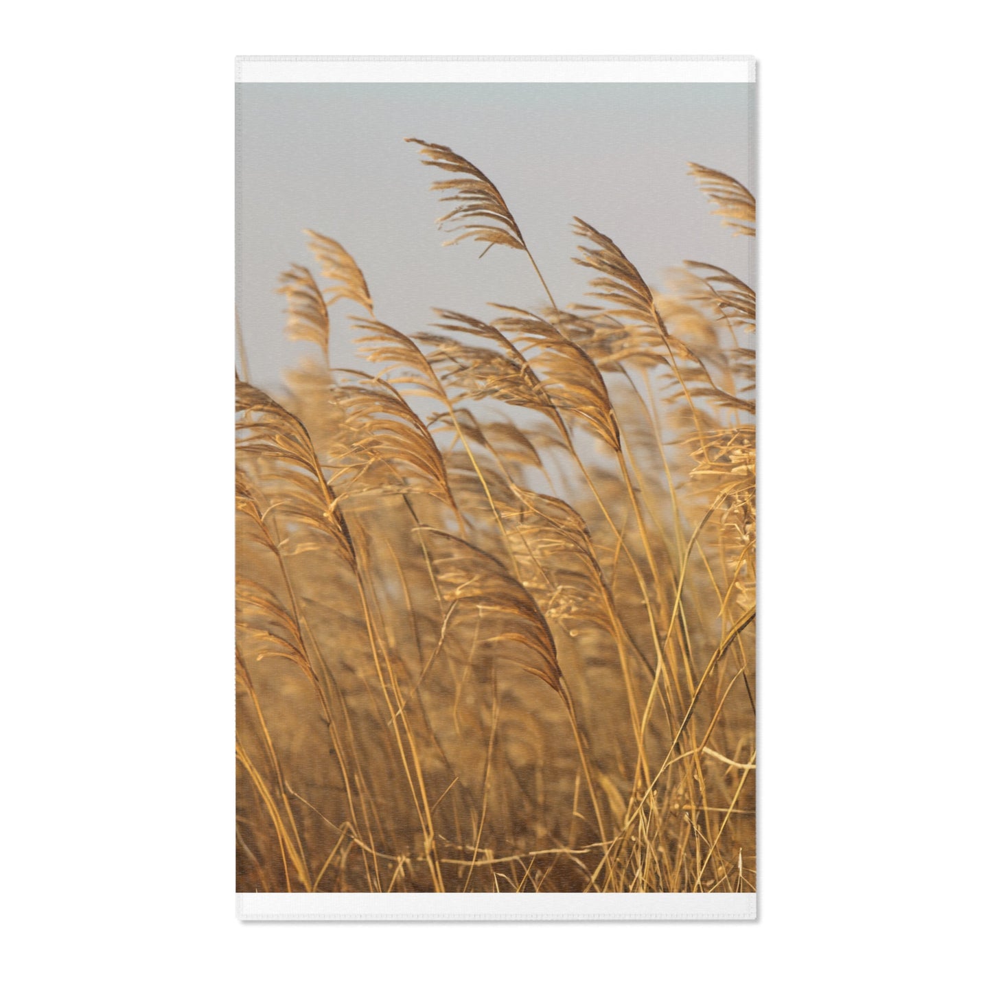 Golden Grass Area Rugs