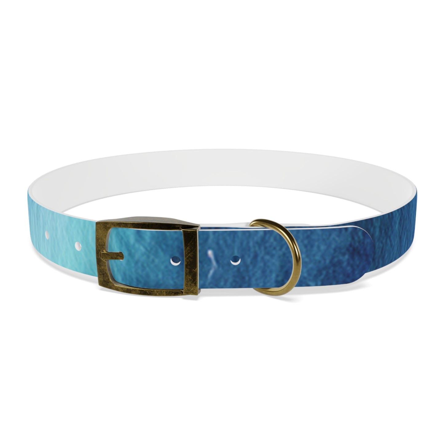 Night Watercolor Dog Collar