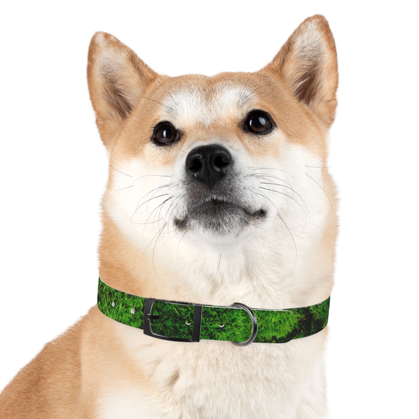 Moss Dog Collar