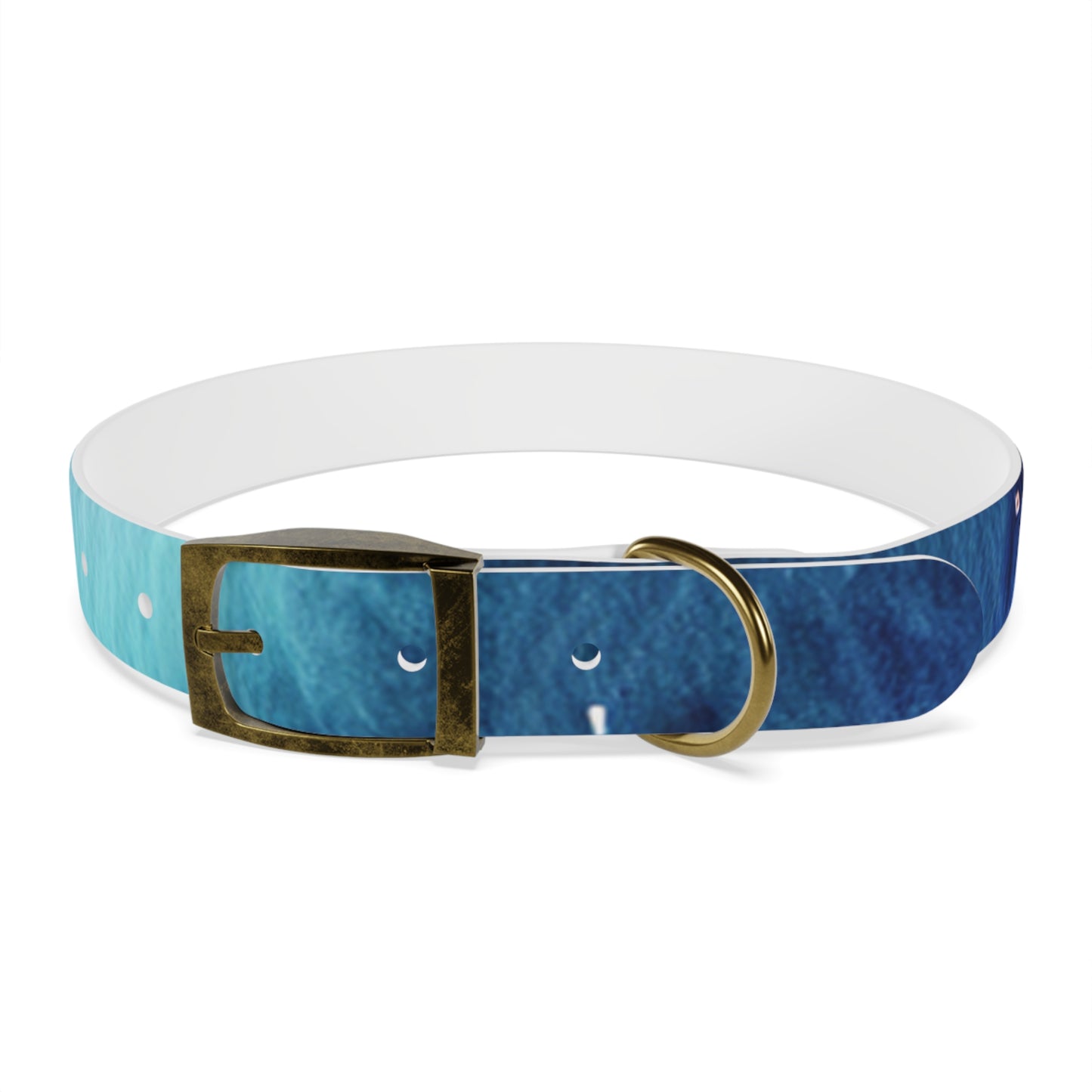 Night Watercolor Dog Collar