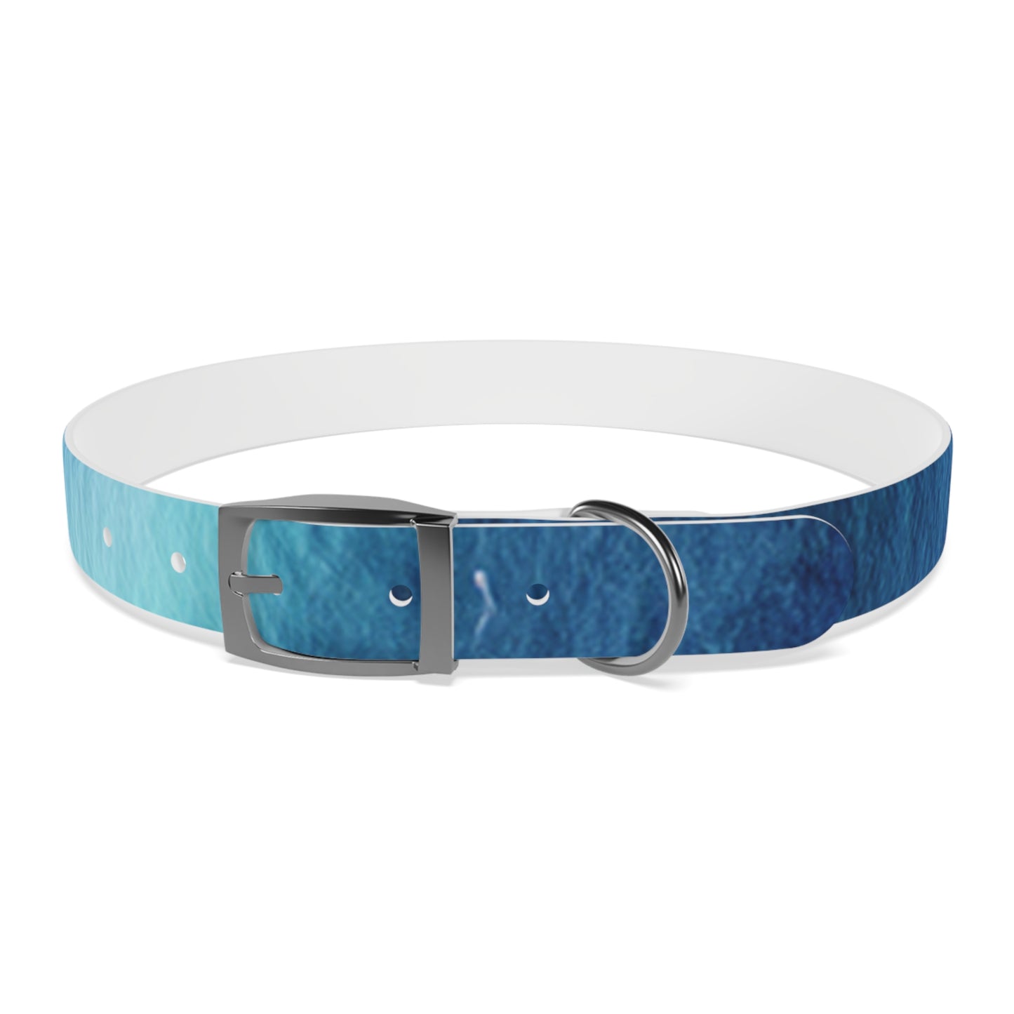 Night Watercolor Dog Collar