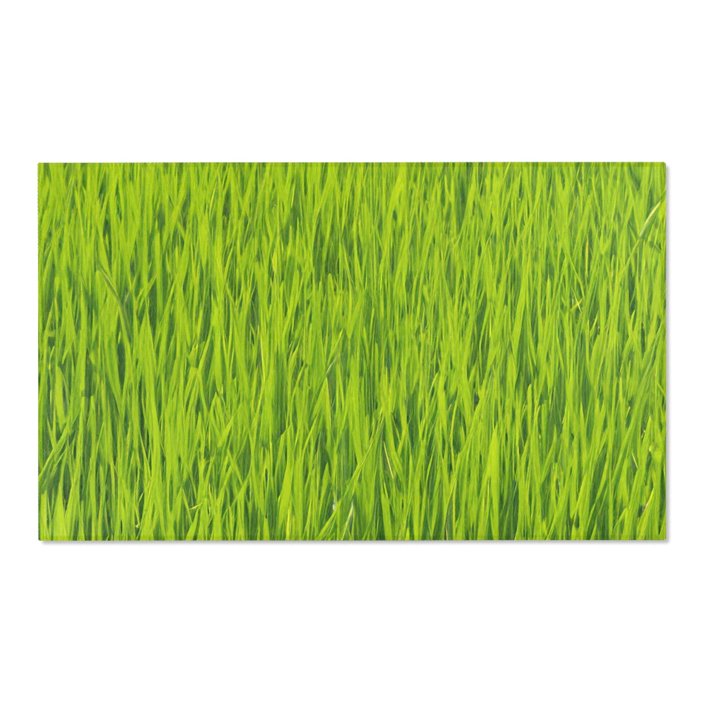 Grass Area Rugs