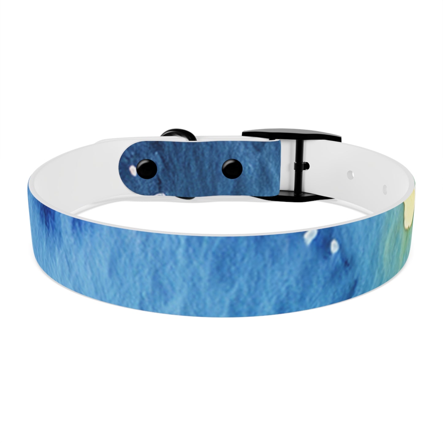 Night Watercolor Dog Collar