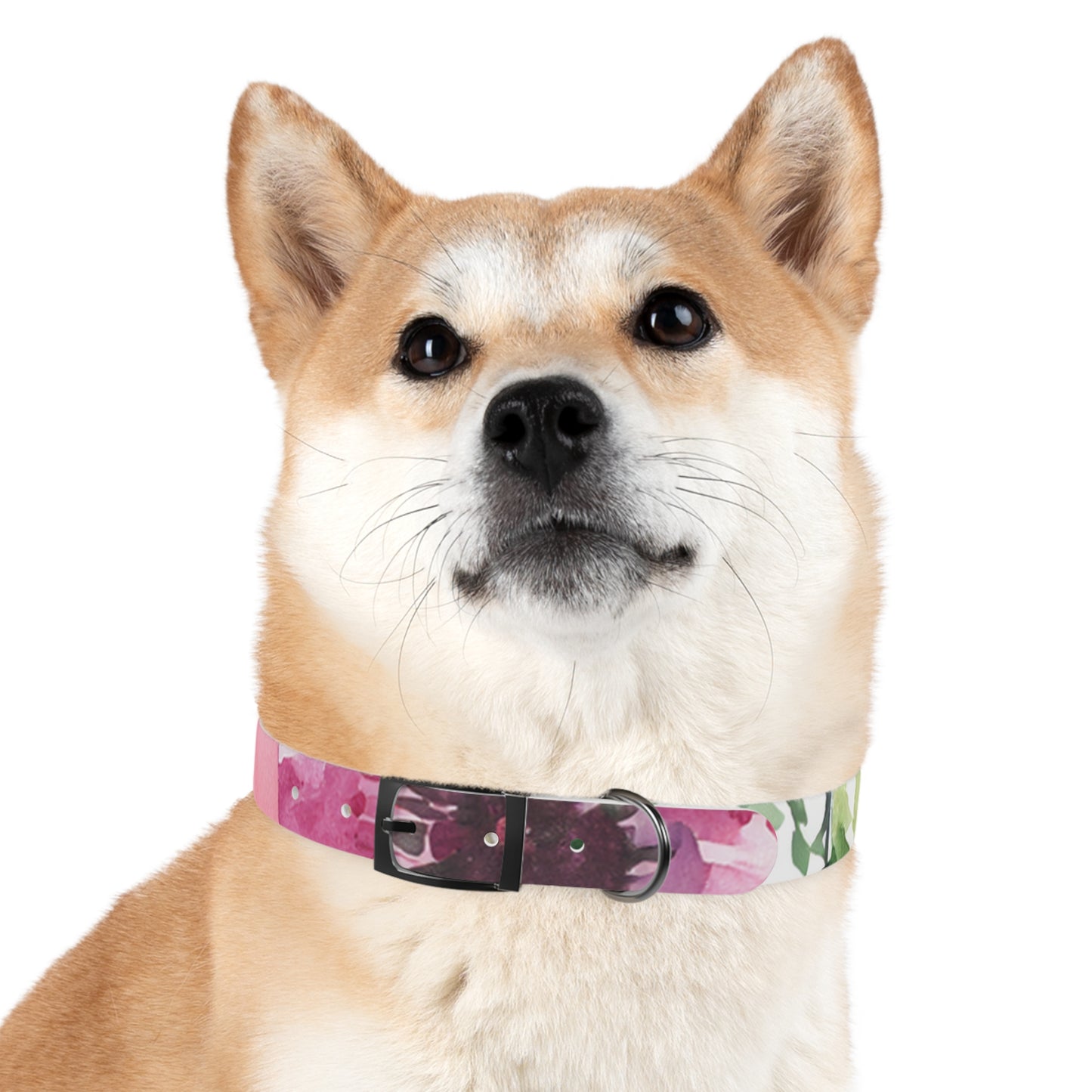 Floral Watercolor Dog Collar