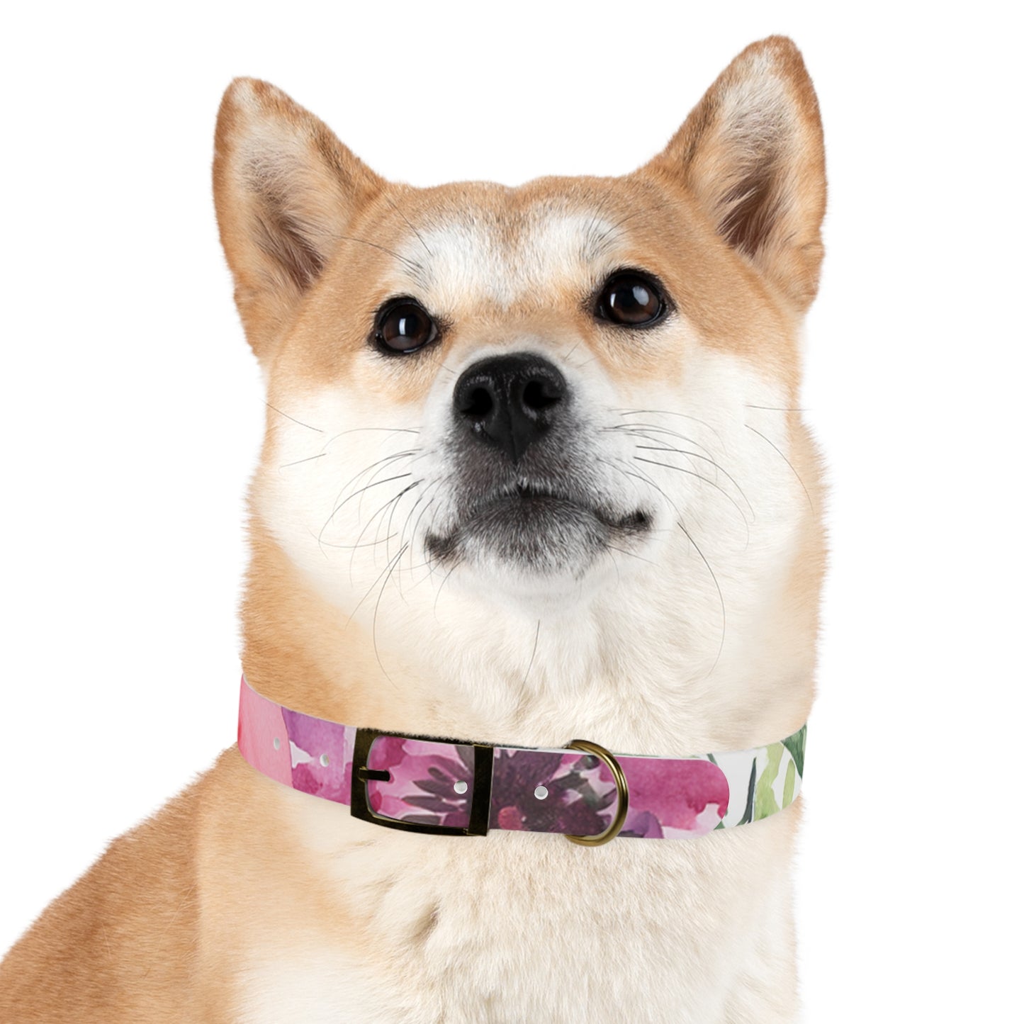 Floral Watercolor Dog Collar